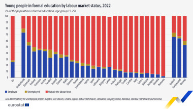 Participation-young-people-edu-labour V2-280923.png